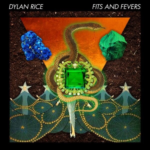 Cover art for Fits and Fevers